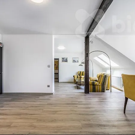 Big Calm Flat In Historical Wenceslas Sq Building Διαμέρισμα
