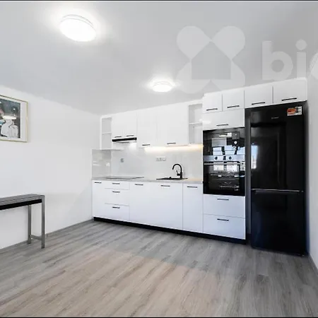 Big Calm Flat In Historical Wenceslas Sq Building 아파트